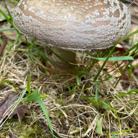 Rural Playa De Aguilar 4*