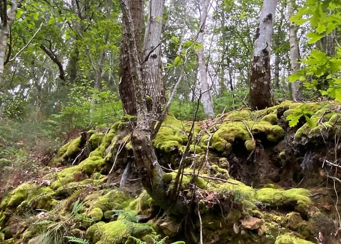 Hotel Rural Playa De Aguilar Muros de Nalón