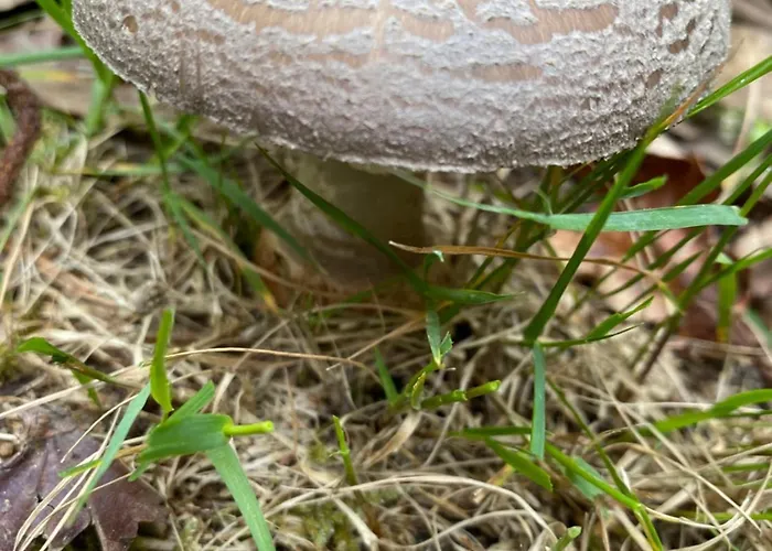 Rural Playa De Aguilar 4*