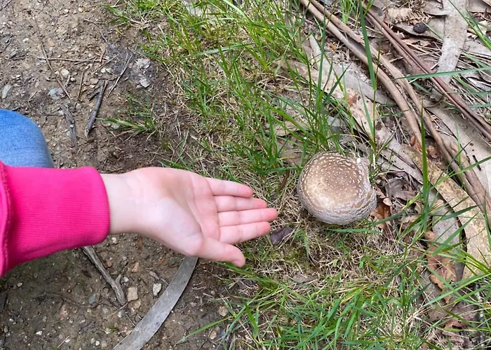 Hotel Rural Playa De Aguilar 4*