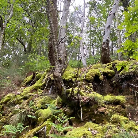 Отель Rural Playa De Aguilar Мурос-де-Налон