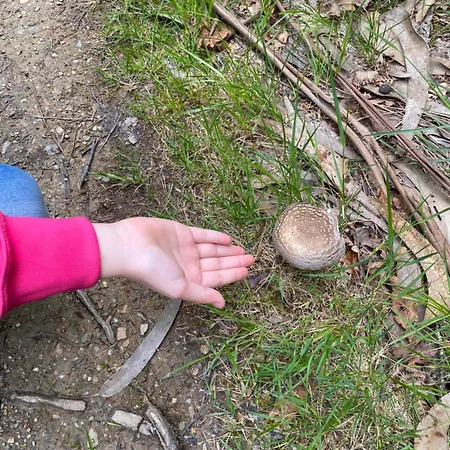 Otel Rural Playa De Aguilar 4*